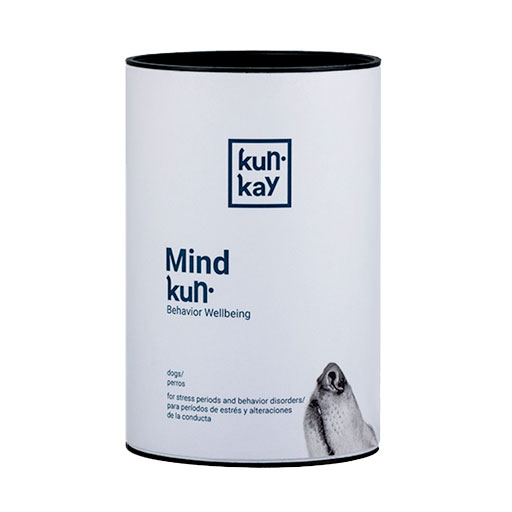 KunKay Mind Kun