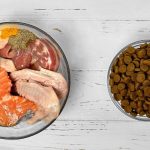 Alimentación Equilibrada: Clave para la salud de tu perro