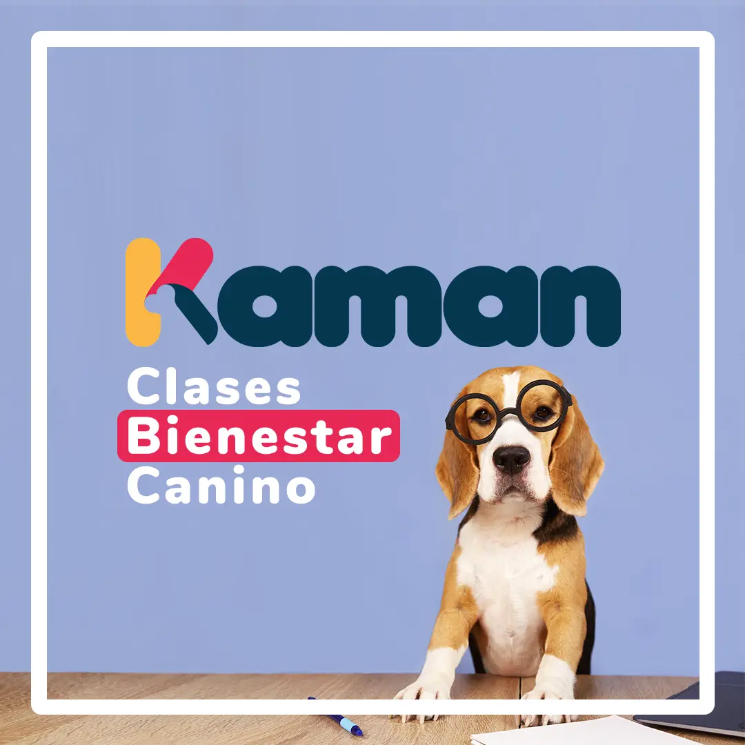 Kaman Pet: Tips de clases de bienestar canino