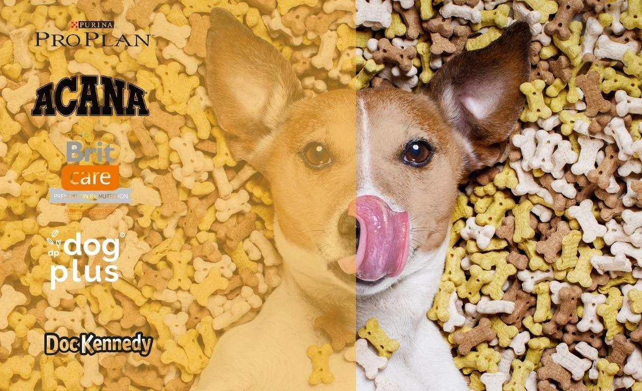 Mejores marcas de alimentos para perros