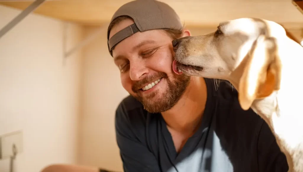 ¿Por qué mi perro me lame tanto?
