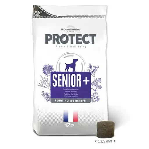Protect Senior+ Canino