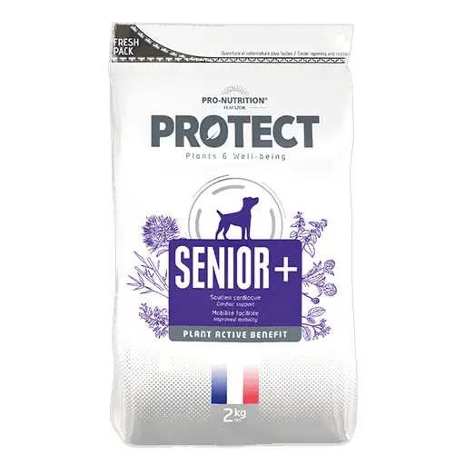 protect-senior2