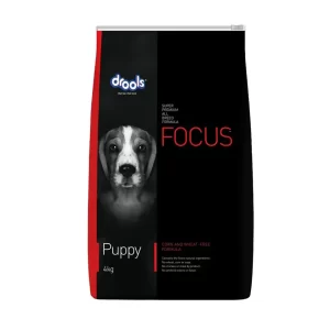 Drools Focus Puppy
