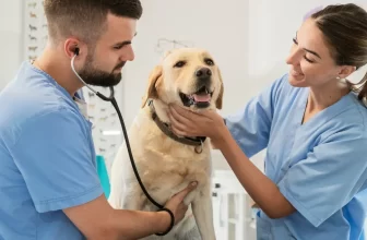 KamanSalud: El nuevo espacio para el bienestar integral de tu mascota