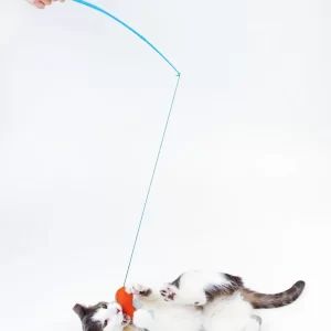 Hartz Cattraction Koi Dangler