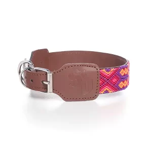 Street Dogs Collar México Valladolid (m)