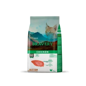 Bravery Chicken Kitten Felino