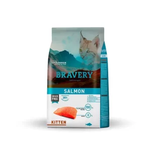 Bravery Salmon Kitten Felino