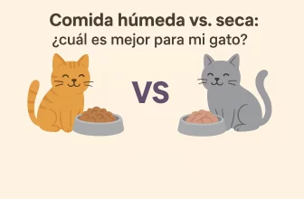 Comida húmeda vs. seca: ¿Cuál es mejor para mi gato?