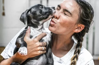 Cómo preparar a tu mascota para las celebraciones de Fiestas Patrias