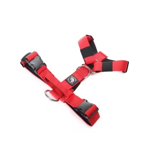 Street Dogs Arnes Strap Red