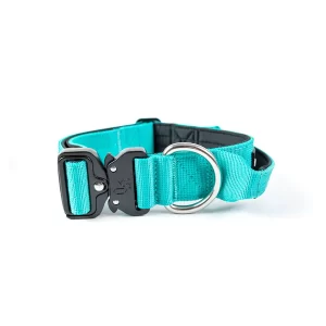 Street Dogs Collar Combat 4 cm Turquesa