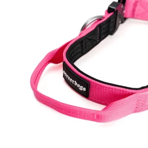 Street Dogs Collar Combat 2,5 cm Pink