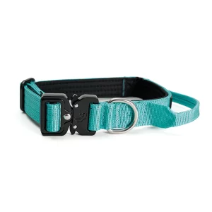 Street Dogs Collar Combat 2,5 cm Turquesa