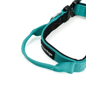 Street Dogs Collar Combat 2,5 cm Turquesa