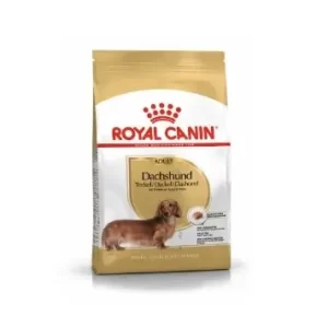 Royal Canin Dachshund Adulto