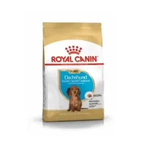 Royal Canin Dachshund Puppy