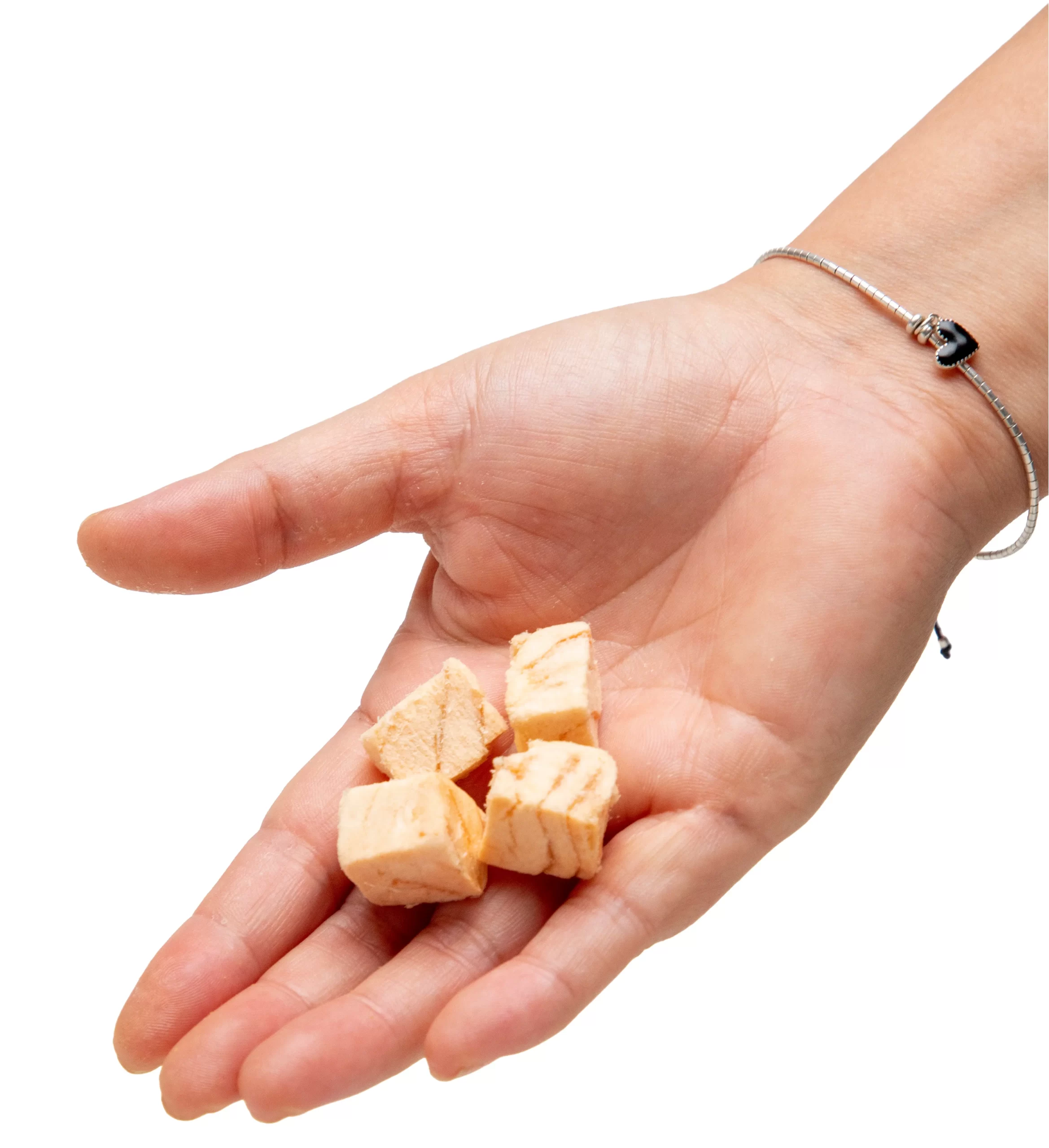 Tributo Snack Training Salmon (100 gr) - Imagen 2