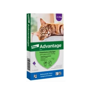 Elanco Advantage Pipeta Gato (4 a 8 kg) (0.8 ml)