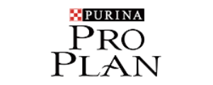 Pro Plan